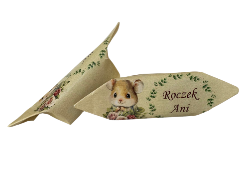 Projekt Roczek 3.png